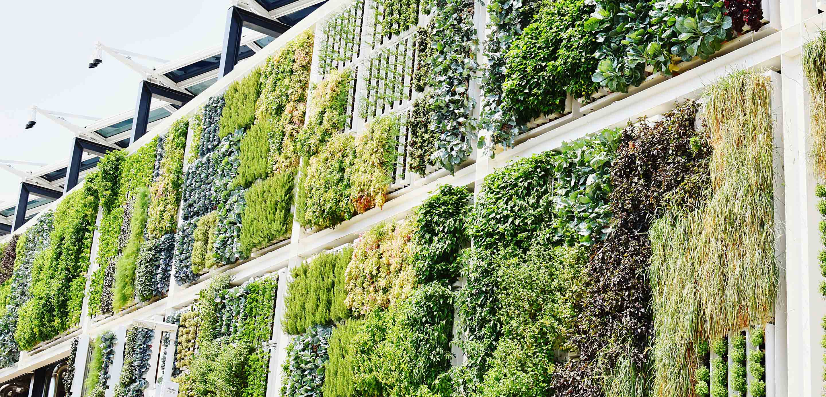 Moving fashion forward in a sustainable way | HSBC Taiwan