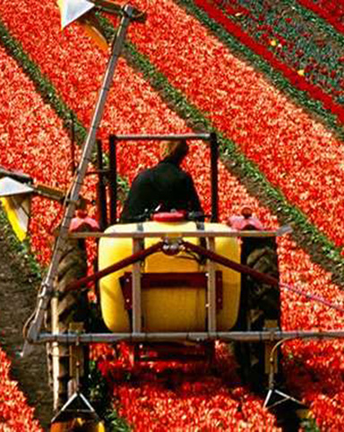 credit-and-lending-tile